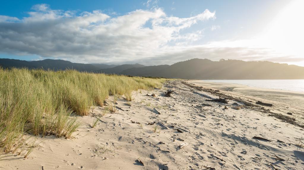 Golden Bay Hideaway Villa Takaka Exterior foto